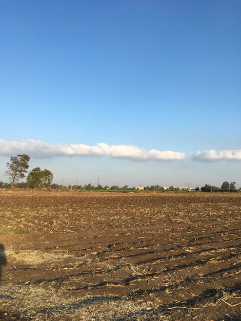 Skysun clouds against agricultural fields at egyptian countryside