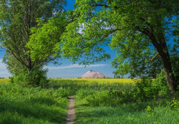 Slagheap of ukrainian steppe