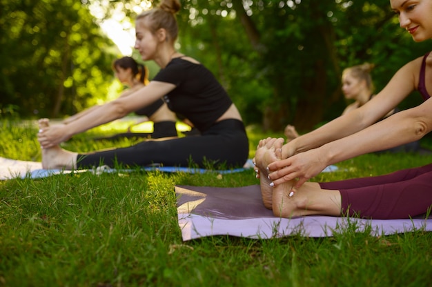 Slanke vrouwen doen rekoefening op matten, groepsyoga-training op het gras in het park