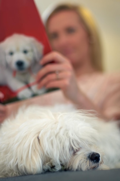 Slapende hondenbank en vrouw met lezen leren of ontspannen voor dier kalm of stil in huis onscherpe achtergrond mockup ruimte en slaap voor puppy huisdier of poedel met vrede op loungebank in huis