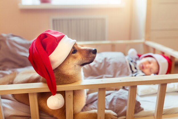 Slaperig kind en puppy shiba inu-hond in rode hoeden van de kerstman op kerstavond