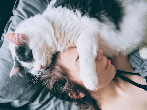 sleeping cat