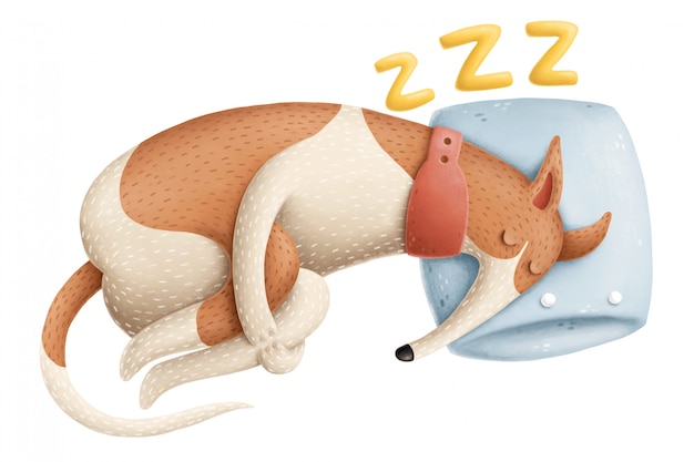 Photo sleeping dog illustration