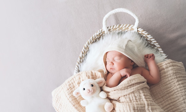 sleeping newborn baby in basket wrapped in blanket in white fur background