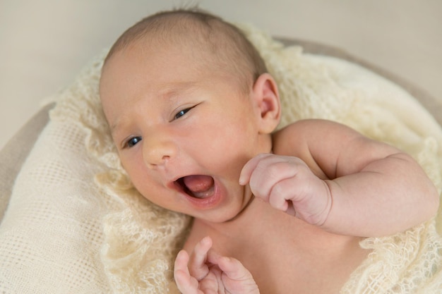 Sleeping newborn baby on a blanket