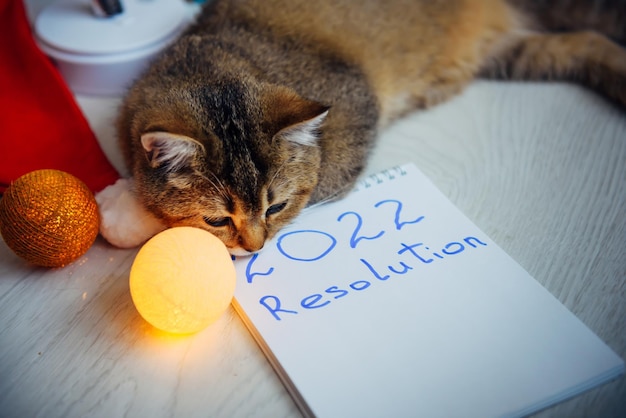 Sleepy red kitten napping on the floor next to christmas\
accessories and a notebook with inscription \