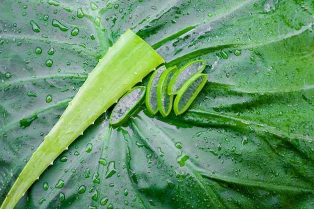 Tagliare l'aloe vera con una goccia d'acqua