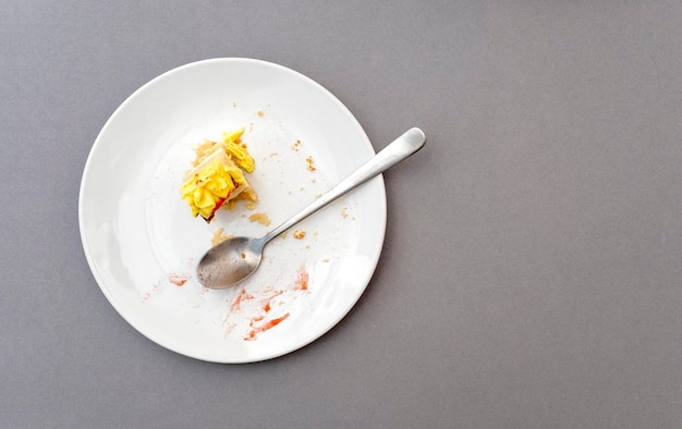 Slice of cake with cream as food leftover on a white ceramic plate top view