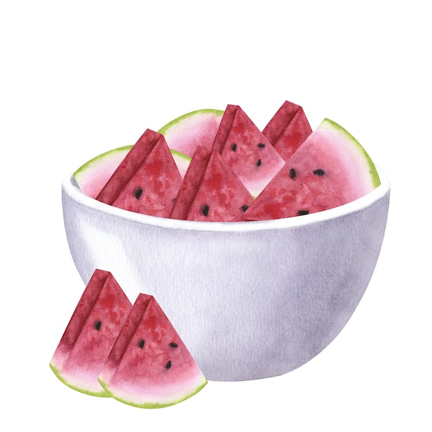 Slice pink red watermelon bowl Healthy diet Hand drawn watercolor illustration isolated