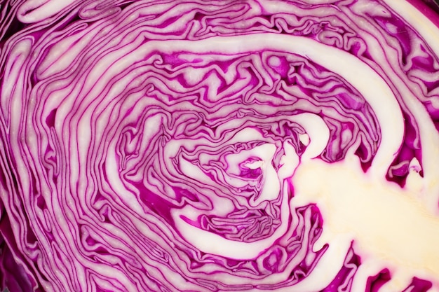 Slice of purple cabbage close up.