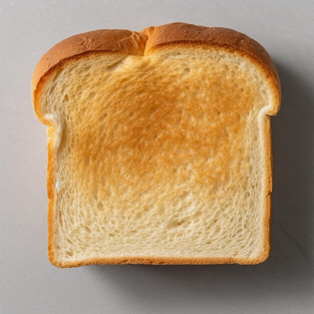 A slice of toasted bread isolated on gray background