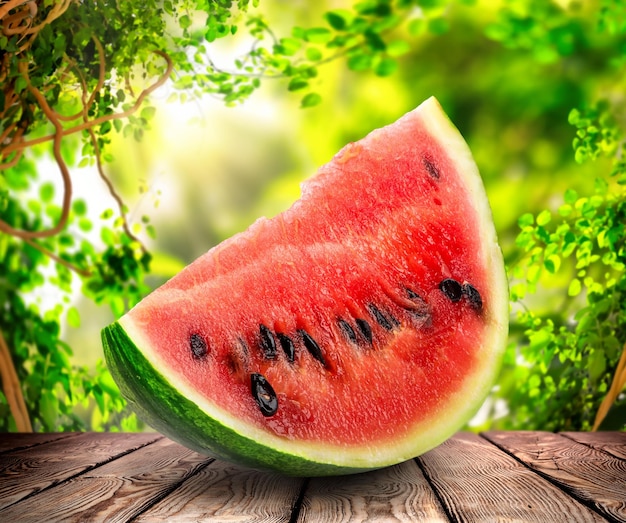 Slice of watermelon