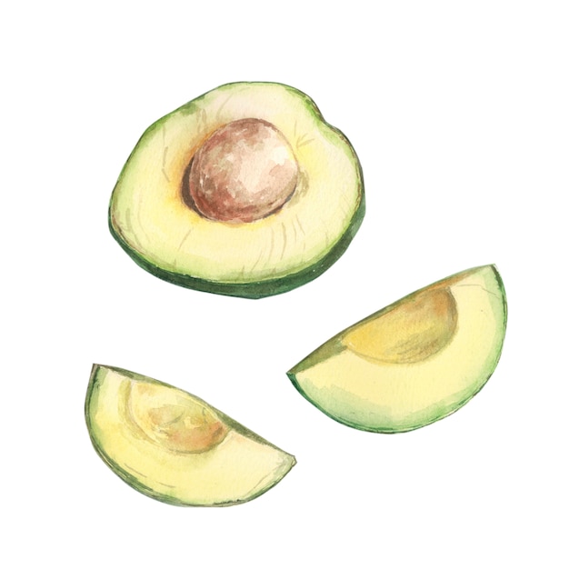 Sliced juicy avocado fatty green boneless watercolor