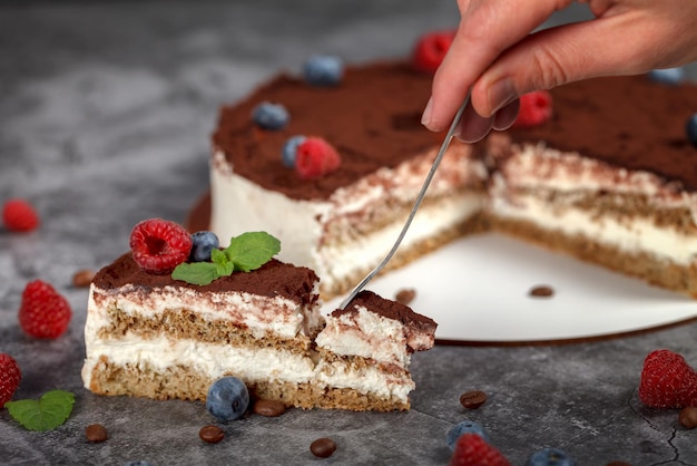 Sliced piece of tiramisu cake on gray background