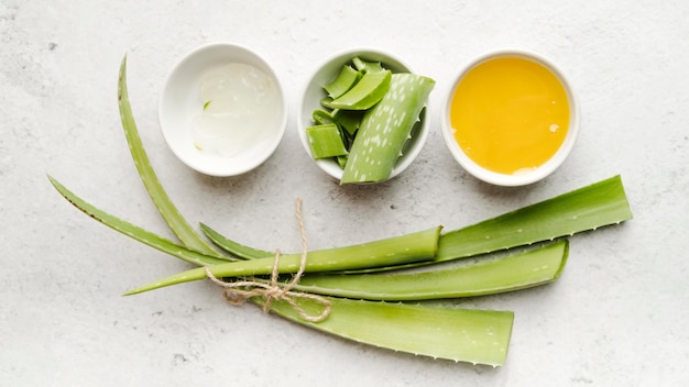 Slices of aloe vera top view