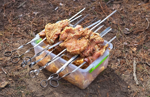 마리 네이드와 함께 컨테이너에 꼬치에 꼬치 돼지고기 조각. 요리 또는 그릴 준비.캠핑