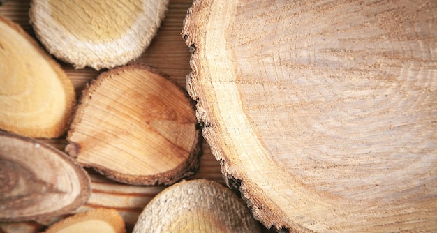 Slices of a tree on wooden background.