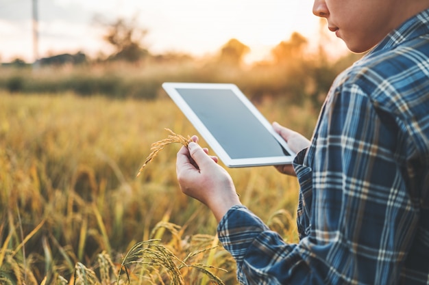 Slimme landbouw Landbouwtechnologie en biologische landbouw Vrouw die het onderzoek gebruikt