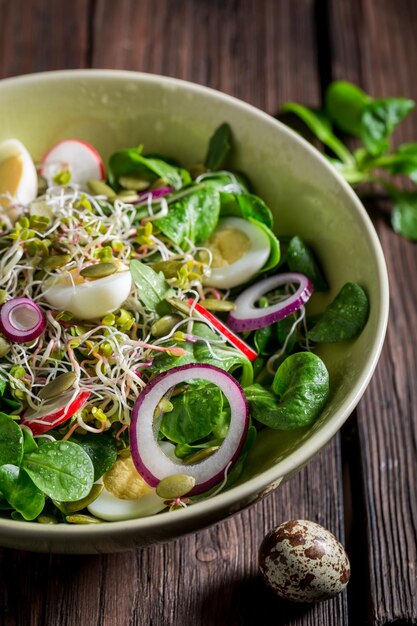 Slimming green salad with quail egg radish and onion