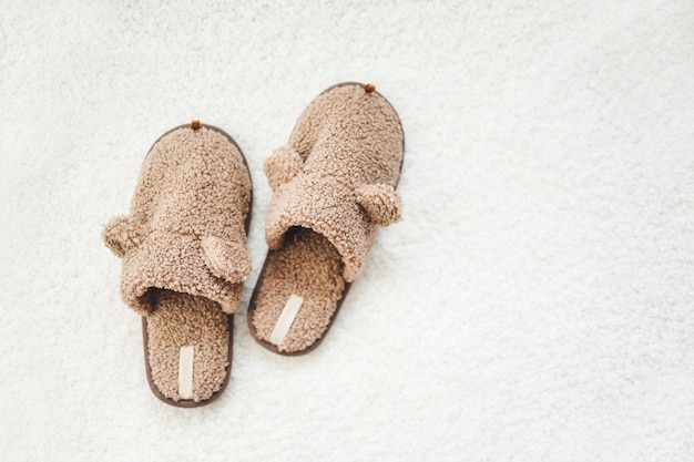 Slipper on the carpet at home