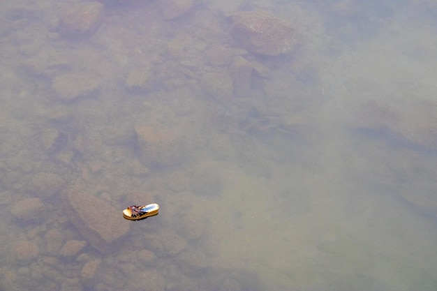 Photo a slipper floating on the sea