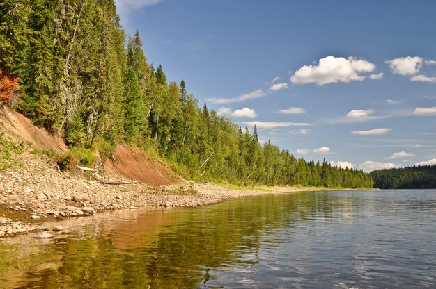 The slope of the river clear summer day