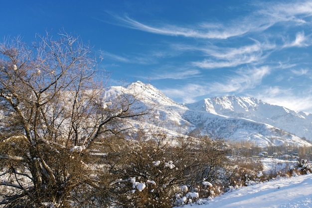 雪景色に覆われた斜面