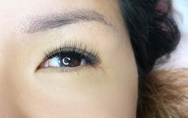 Slose up of eye with eyelash extensions in beauty salon macro eye