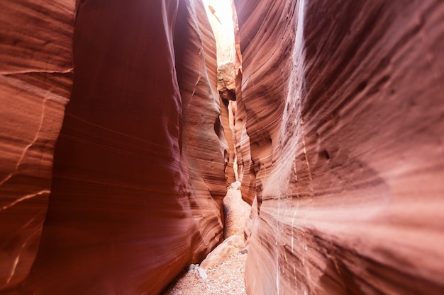 Slot canyon in Grand Staircase Escalante National park, Utah, USA. Unusual colorful sandstone formations in deserts of Utah are popular destination for hikers.