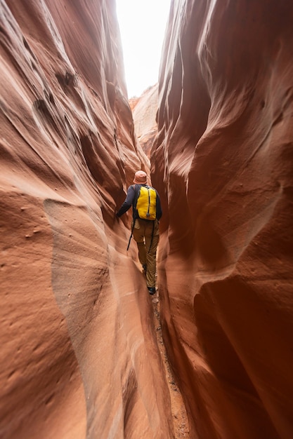 Slot canyon in Grand Staircase Escalante National park, Utah, USA. Unusual colorful sandstone formations in deserts of Utah are popular destination for hikers.