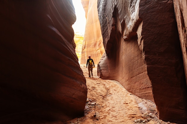 Slot canyon in Grand Staircase Escalante National park, Utah, USA. Unusual colorful sandstone formations in deserts of Utah are popular destination for hikers.