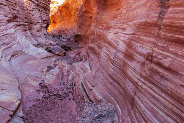 米国ユタ州グランドステアケースエスカランテ国立公園のスロットキャニオン。ユタ州の砂漠にある珍しい色とりどりの砂岩層は、ハイカーに人気の場所です。