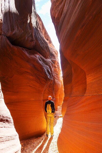 Slot canyon in grand staircase escalante national park, utah, usa. unusual colorful sandstone formations in deserts of utah are popular destination for hikers