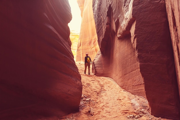 Slot canyon in Grand Staircase Escalante National park, Utah, USA. Unusual colorful sandstone formations in deserts of Utah are popular destination for hikers.