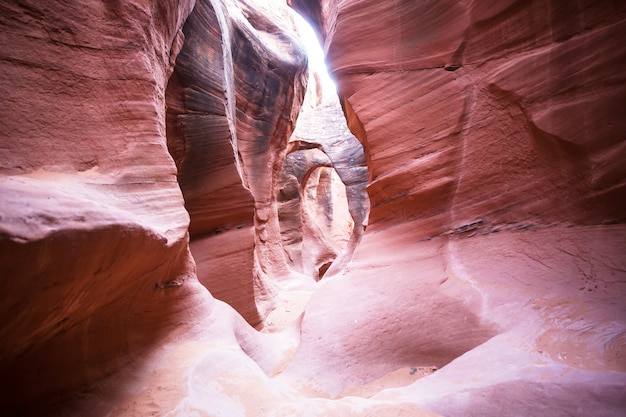 Slot canyon nel parco nazionale grand staircase escalante, utah, stati uniti d'america.