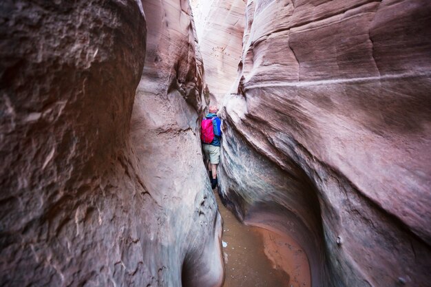 Slot canyon in Grand Staircase Escalante National park, Utah, USA.