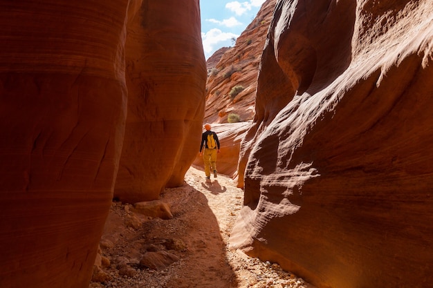 Slot canyon in Grand Staircase Escalante National park, Utah, Verenigde Staten. Ongewone kleurrijke zandsteenformaties in de woestijnen van Utah zijn een populaire bestemming voor wandelaars.