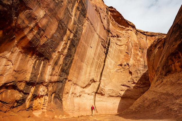 Slot canyon in Grand Staircase Escalante National park, Utah, Verenigde Staten.