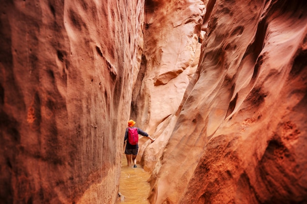 Slot canyon in Grand Staircase Escalante National park, Utah, Verenigde Staten.