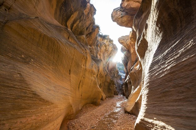 Slot canyon