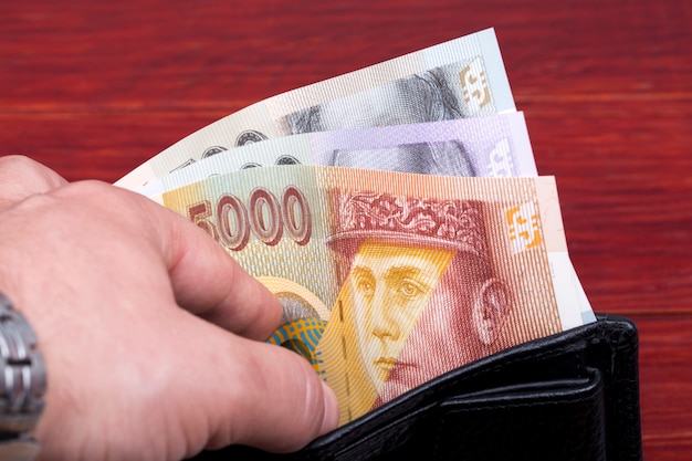 Slovak money  koruna in the black wallet