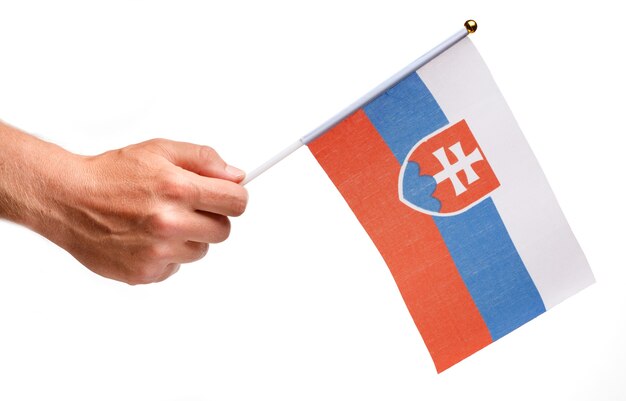 Slovakia flag small in hand isolate.