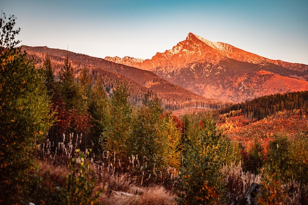 写真 スロバキアの風景 山の風景 ハイタトラ山脈のスロバキアの krivan ピーク シンボル リプトフ地域