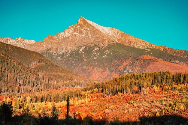 슬로바키아 풍경 산 풍경 높은 Tatras 산맥 Liptov 지역에서 슬로바키아의 Krivan 피크 상징