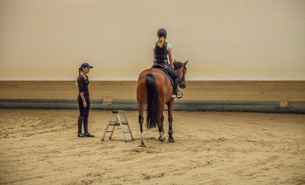 Sloveens meisje dat een paard berijdt in een hippische arena