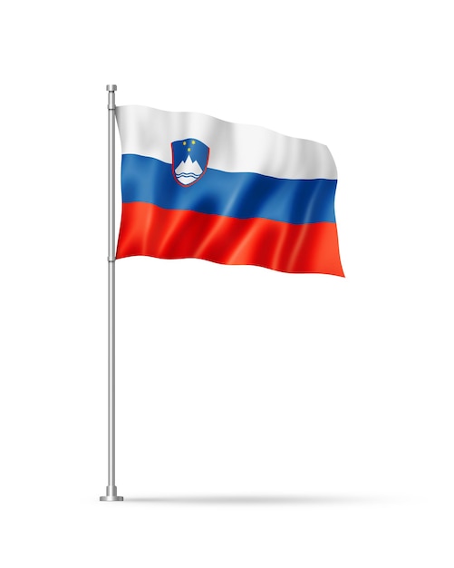 Slovenian flag isolated on white