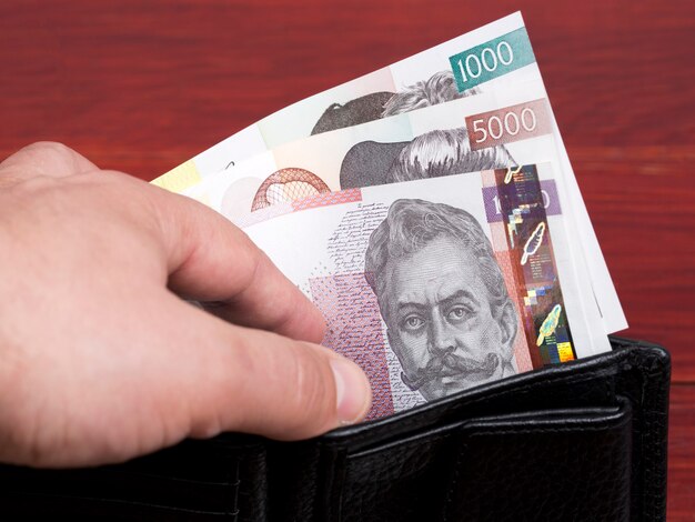 Slovenian money  tolar in the black wallet