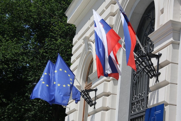 Slovenië en eu-vlag