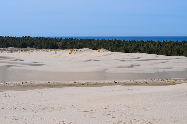 Slovinski nationaal park Leba zandduin aan de Baltische kust Polen Europa