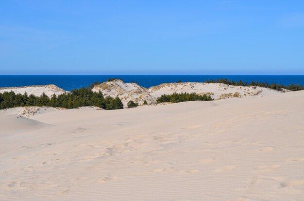 Slovinski national park Leba sand dune on the Baltic coast Poland Europe